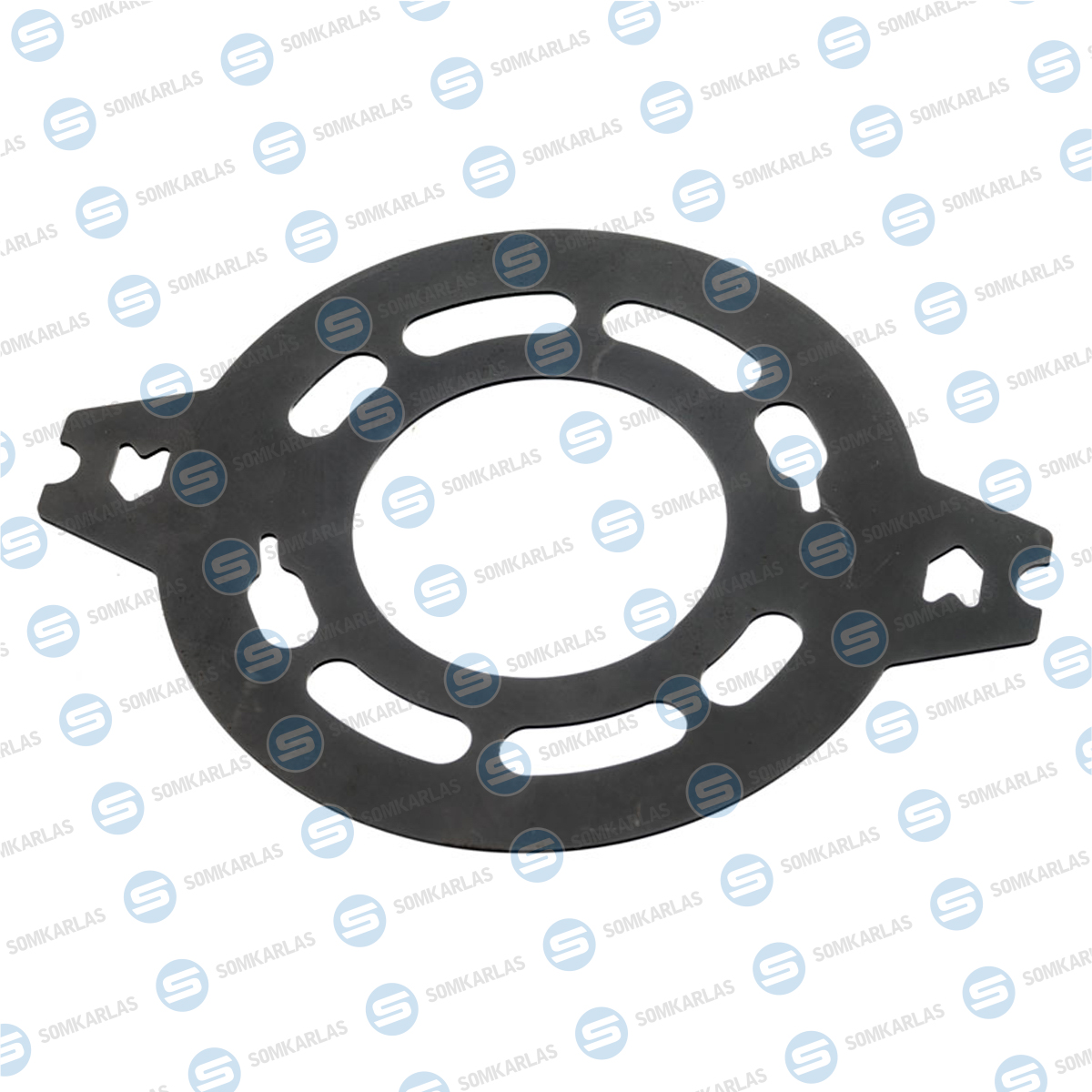 SOM20558 - VALVE PLATE DPV25 - 